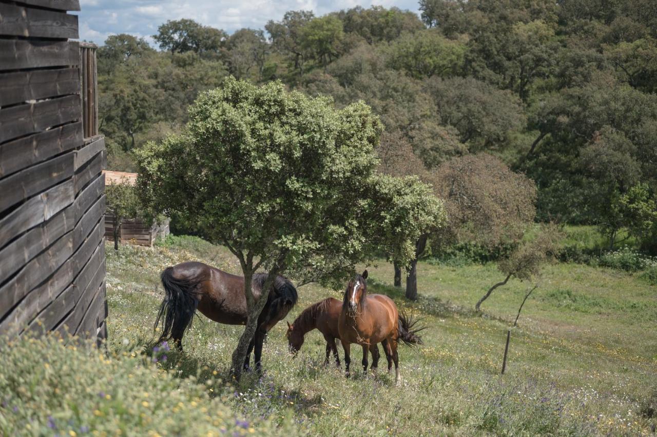Curvatos Monte Gois Country House E Spa מראה חיצוני תמונה