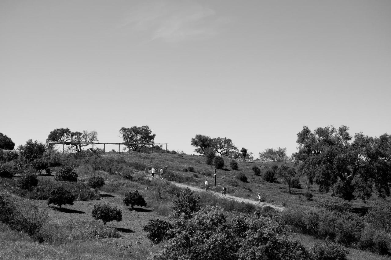 Curvatos Monte Gois Country House E Spa מראה חיצוני תמונה